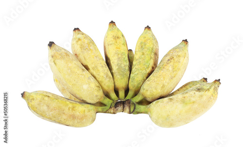 Bunch of ripe, yellow, fresh, and sweet cultivated banana or numwa in thai  isolated on white background. Close up Musa sapientum linn - Healthy fruit on white.