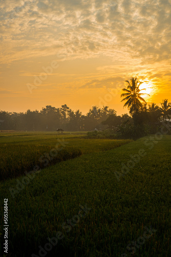 Amazingh morning Sunrise in the Countryside, Very Warm and Peaceful