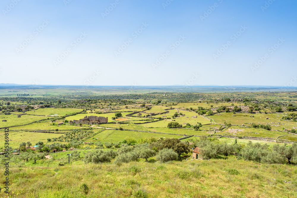 Large extension of land dedicated to livestock. Cáceres landscape in spring, Spain