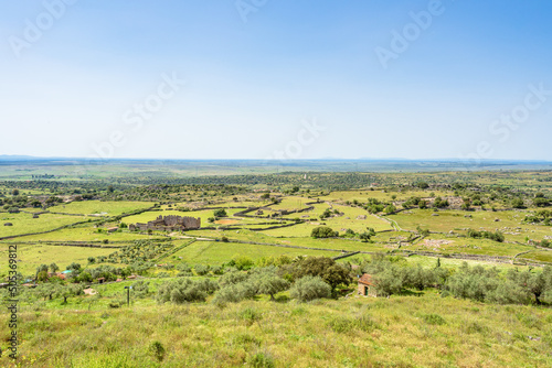 Large extension of land dedicated to livestock. C  ceres landscape in spring  Spain