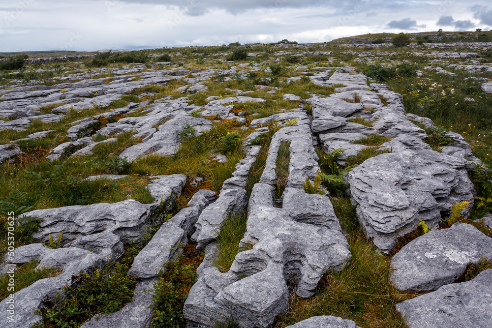 View of the Burren national park in Ireland