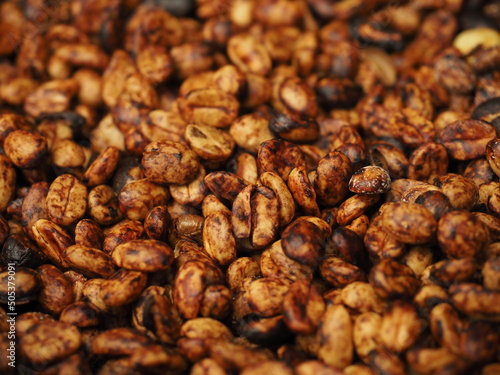 costa rican coffee beans background  photo