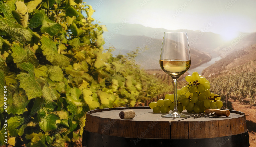 Design for card, magazine or brochure cover. White wine glass and bunch of grapes on wooden barrel over nature landscape background. Winemaking and festivals concept