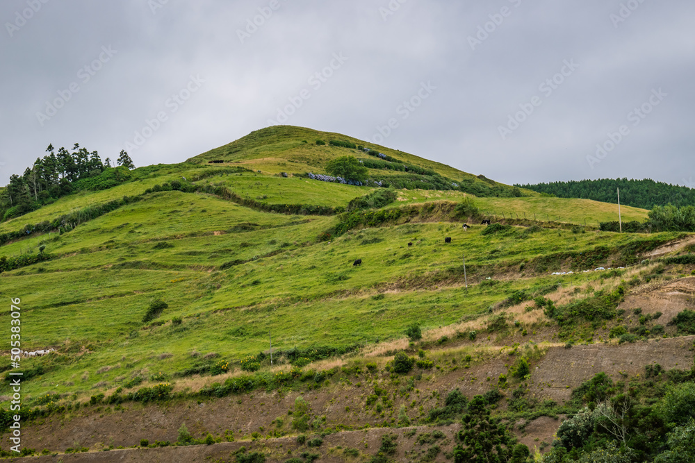 Green pasture hill, typical landscape of the Azores, São Miguel Island PORTUGAL