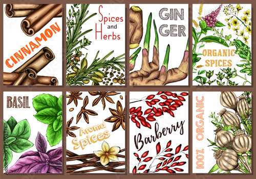 A colorful set of spices, herbs and spices. Bright, colorful hand drawing. Vector for menu, restaurant,
food and kitchen design.