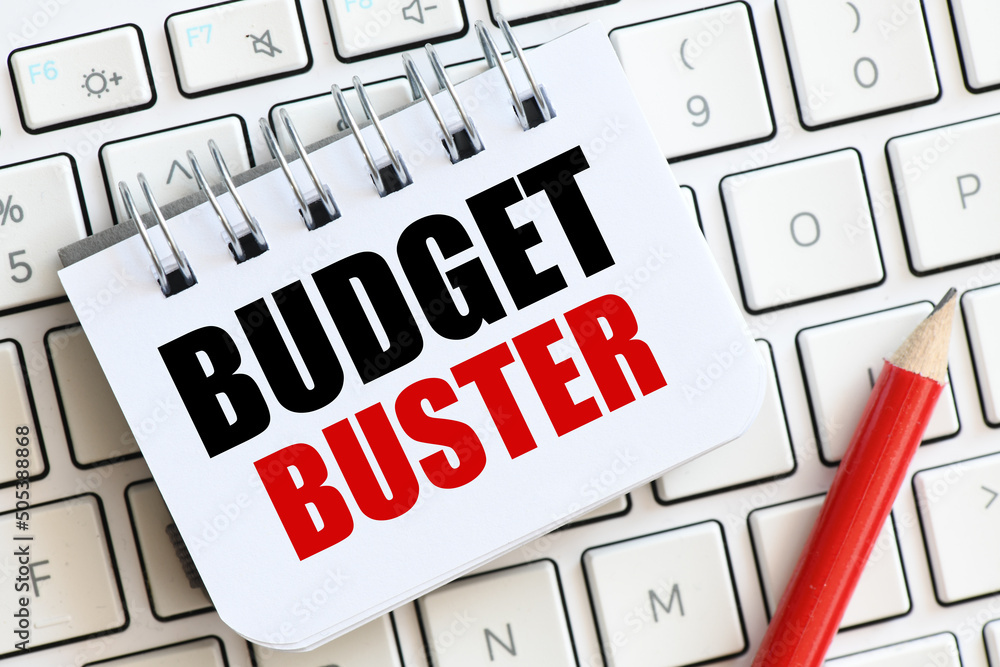 BUDGET BUSTER words in a small notebook. BUDGET BUSTER words in a small notebook.