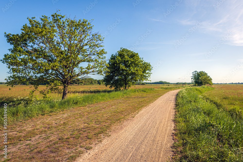 Φωτογραφία Curved cycling and walking path through a Dutch nature reserve in the province of North Brabant