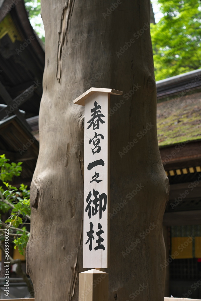 Φωτογραφία Nagano, Japan - May 17, 2022: Just after completing the rebuilding Onbashira or pillars at Harumiya of Suwa Shrine at May 17, 2022