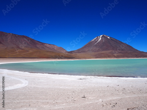 Panoramic view of a track on the altiplano in Bolivia. Lama standing in a beautiful South American altiplano landscape