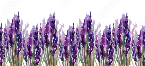 pattern of lavender flowers on a white background