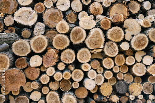 Wall of stacked brawn wood logs as background.