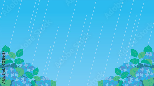 雨が降る中で青色の紫陽花が咲く風景のイラスト