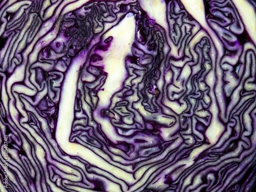 Texture of pink red cabbage cut in half close up photo