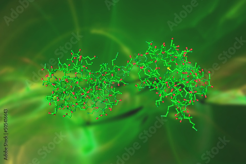 Tetraubiquitin. Molecular model on green background. Rendering based on protein data bank. Scientific background. 3d illustration