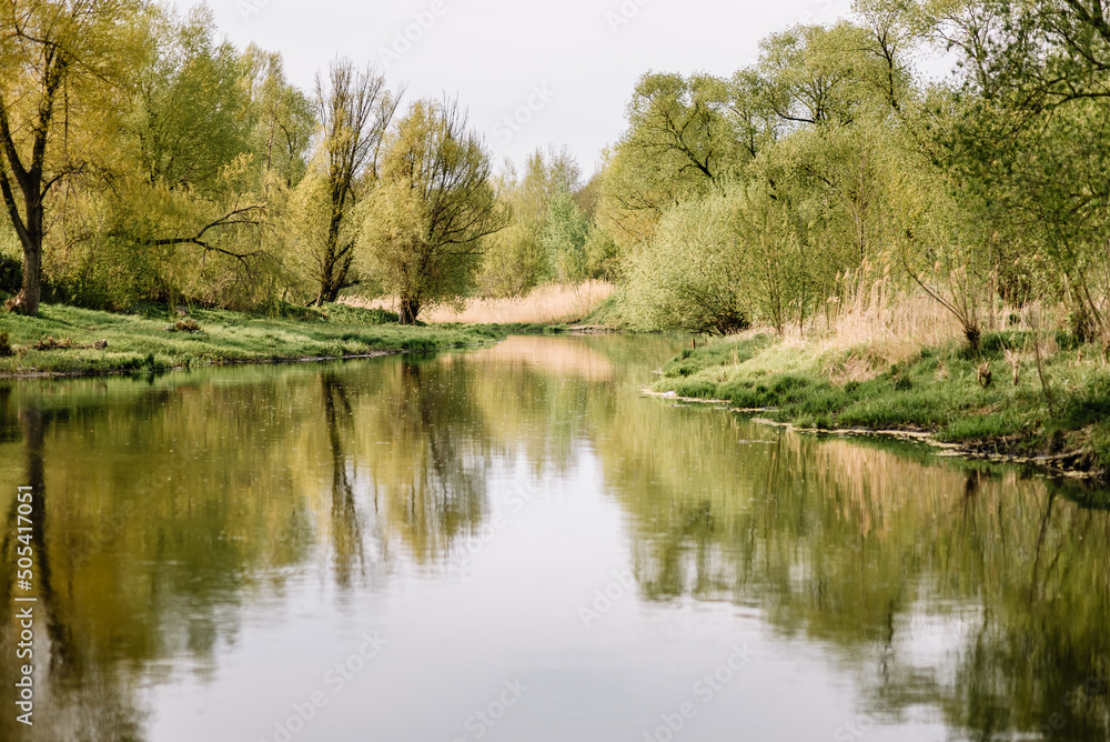 Swampy water landscape. View of the swamp. Forest river. Beautiful nature. Swampy water landscape. View of the swamp. Forest river. Beautiful nature.