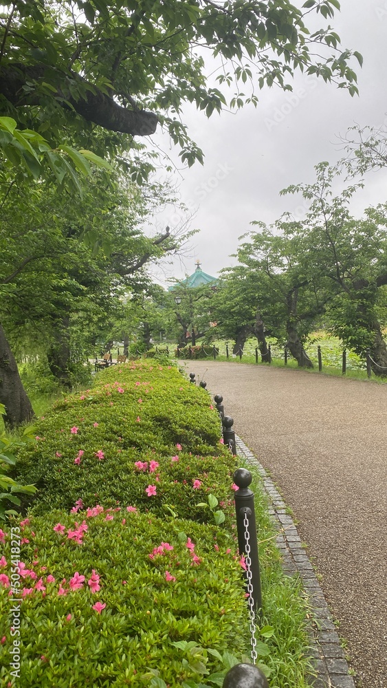 Walking path on the island of lotus pond, with Japanese temple structure in the background, with full-on summer greenery. Year 2022 May Walking path on the island of lotus pond, with Japanese temple structure in the background, with full-on summer greenery. Year 2022 May