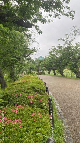 Walking path on the island of lotus pond  with Japanese temple structure in the background  with full-on summer greenery.  Year 2022 May