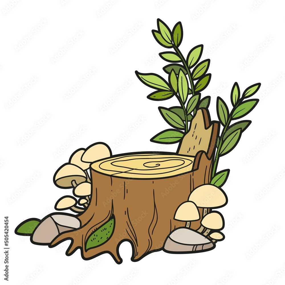 Big stump with toadstools and new tree shoots color variation for ...