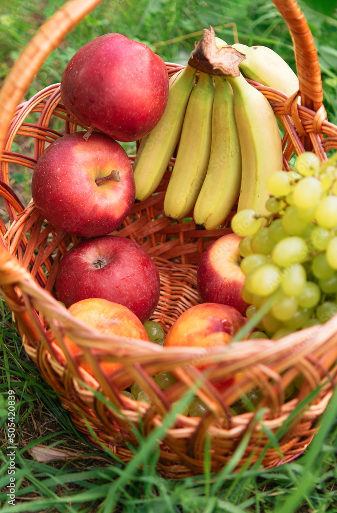 wicker basket with red apple bananas and grapes. summer picnic background.
