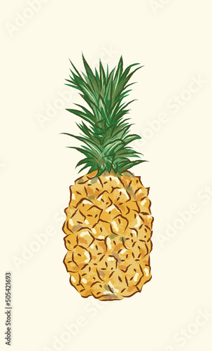 Isolated juicy yellow orange pineapple in vector illustration art design