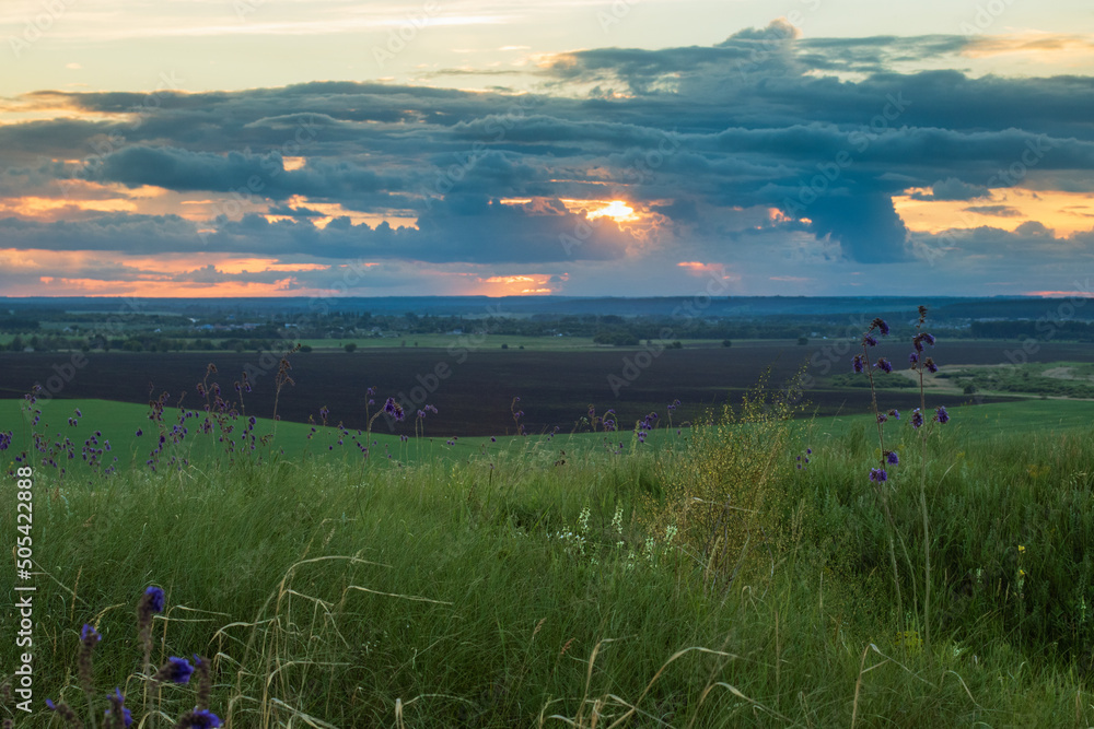 sunset in the field