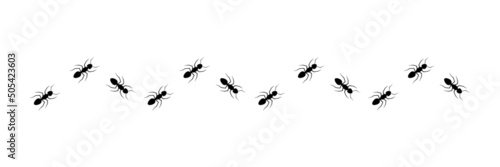 Ant trail silhouette. Line of working ants set. Black insect colony. Vector illustration isolated on white.