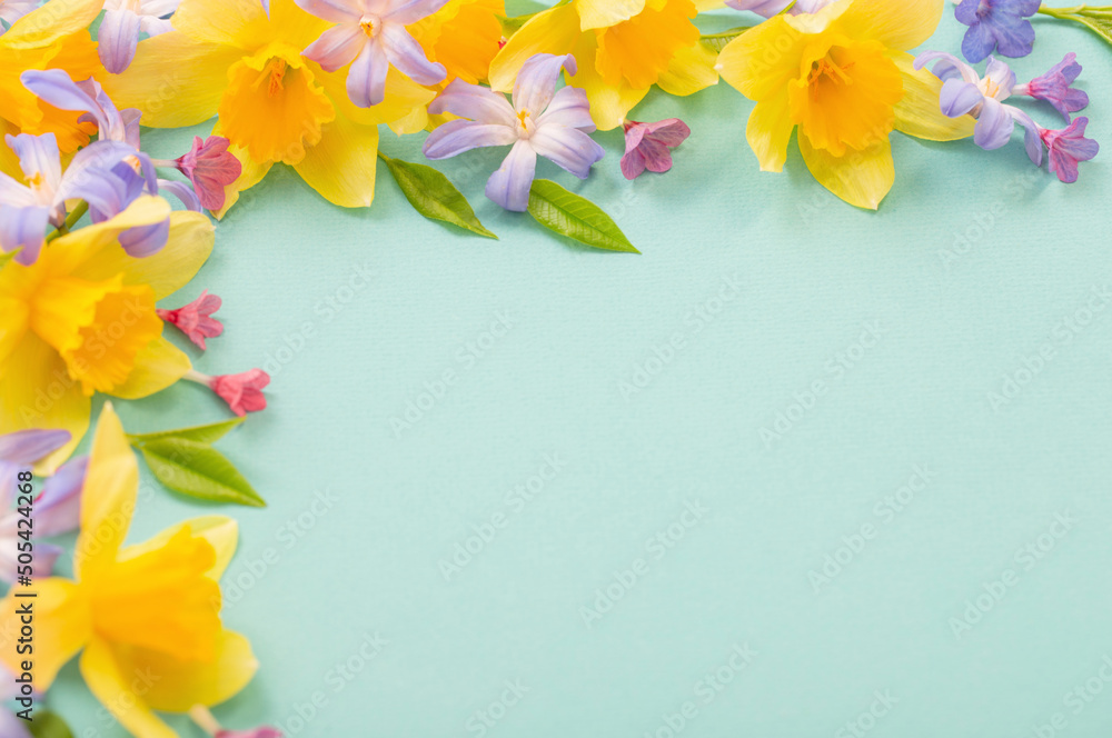 spring flowers on green  papper background - obrazy, fototapety, plakaty 