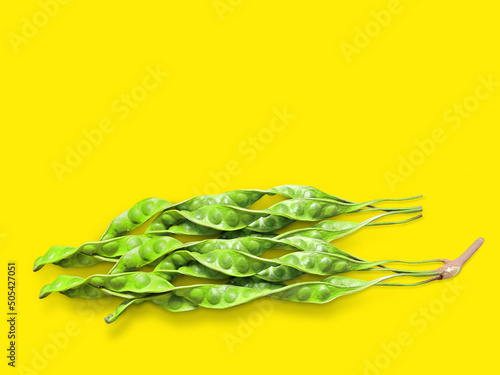 Принти на полотні Petai or bitter beans or stinky beans on isolated on yellow background