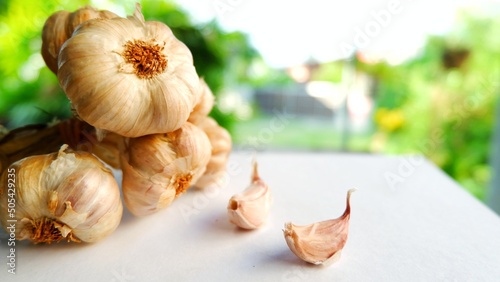 Garlic on white background with natural bokeh, Garlic is an Asian food ingredient and herbal food