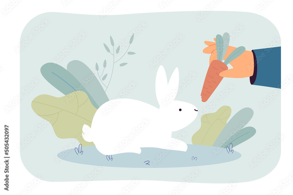 Person feeding rabbit with carrot. Hand holding vegetable, giving it to white rabbit. Pet, care concept for banner, website design or landing web page