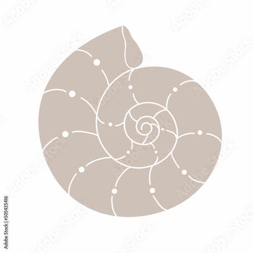 Seashell icon, seashell sign vector graphic, line template on white background, eps 10.Seashells in fashionable minimal style. Shell, snail, scallop illustration and for website, t-shirt print, tattoo