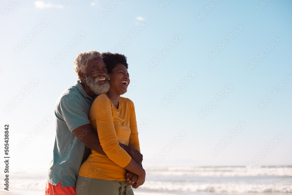 Φωτογραφία Cheerful african american bearded senior man embracing mature woman against sea