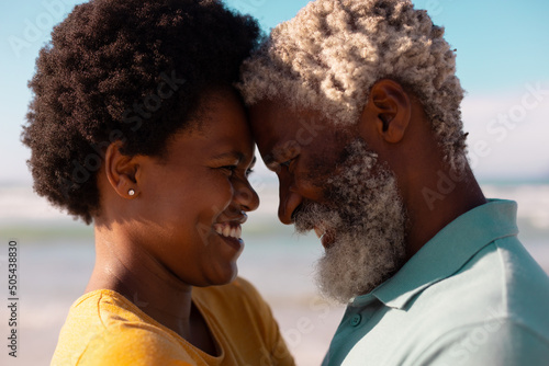 Close-up of romantic african american couple with face to face looking at each other at beach