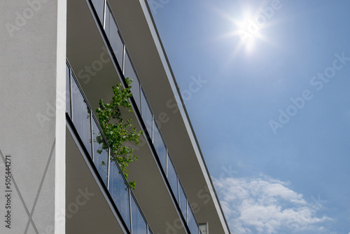 A green tree on the balcony  a place for text. Copy space. Conceptual image  eco city