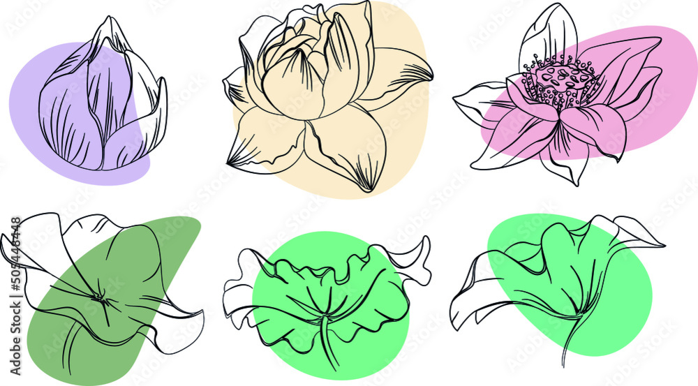 Set of hand-drawn ink lotus flowers and leaves