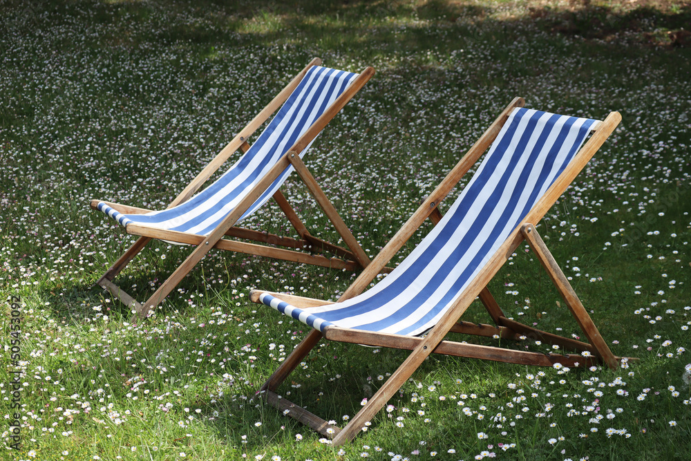 Two sun loungers in the garden, on green grass with daisies foto de Stock |  Adobe Stock