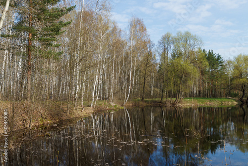 Moscow Oblast, Russia.  Spring view of lake shore near Electrougli town. Reflections in water.