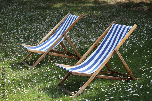 Fototapeta Two sun loungers in the garden, on green grass with daisies