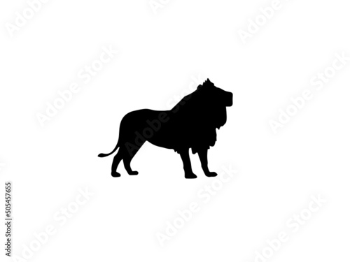 Canvas Print Lion predator black silhouette animal,Black silhouette growling lion vector imag