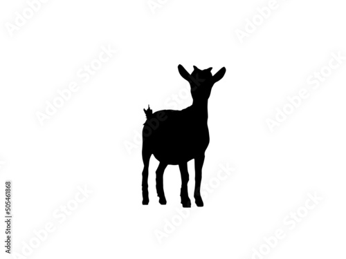 Rural goat illustration vector,Hand drawn sketch head of goat. Farm animal in vintage engraving style. Vector illustration