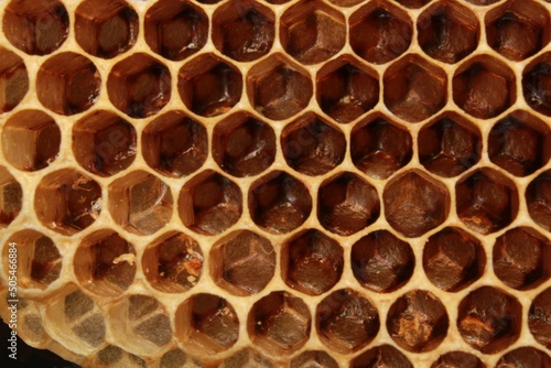 honeycomb