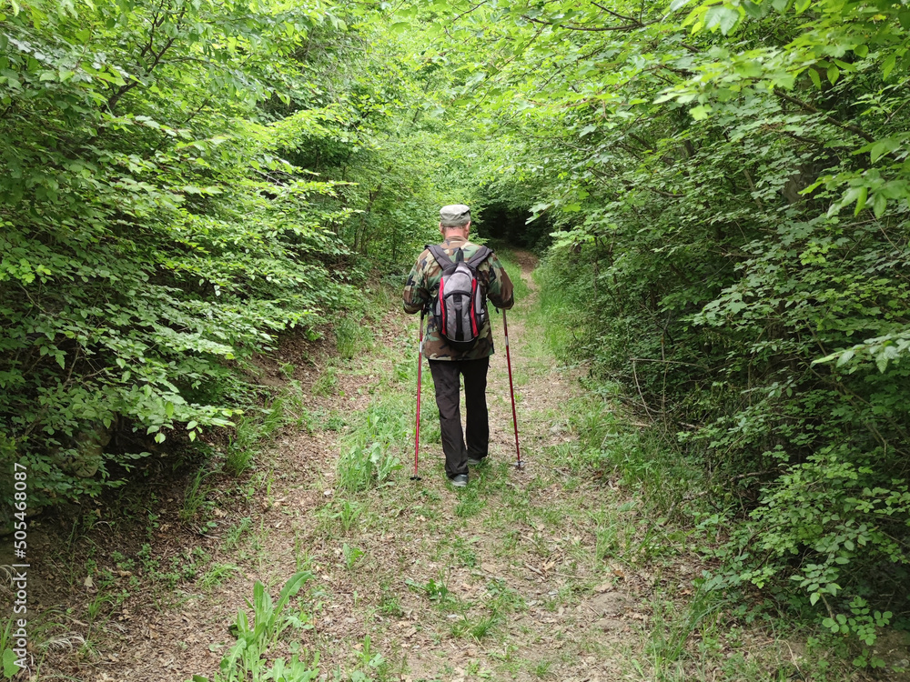 a man with a backpack and walking sticks walks through a forest a man with a backpack and walking sticks walks through a forest