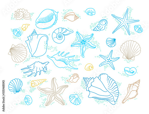 Vector set of illustration  line art tropical sea elements, seashells, starfish. Doodles of marine life. Sea decor for scrapbook, card, decoration, design. Ocean, sea creatures. Maritime illustration