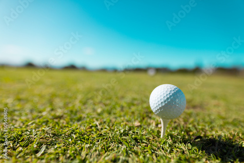 Close-up of white golf ball on tree over grassy land against clear blue sky on sunny day, copy space