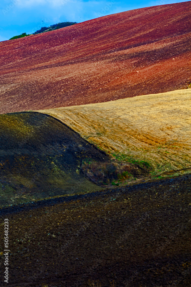 Fotografie paesaggio pugliese campagna