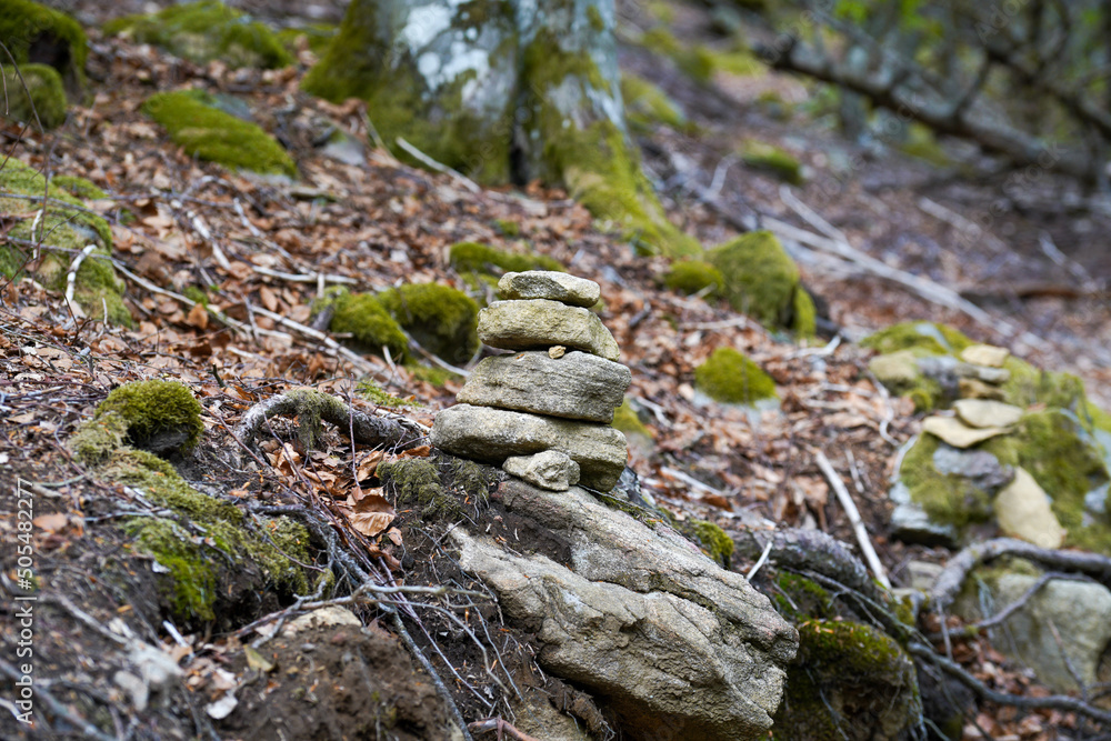 German nature in spring, photographed in the Bavarian Forest German nature in spring, photographed in the Bavarian Forest