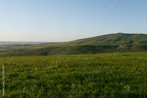 field and blue sky