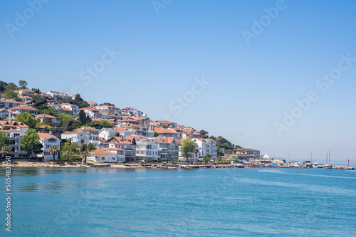 Fototapeta Naklejka Na Ścianę i Meble -  view on a small village on an island with blue water in fron (Istanbul)