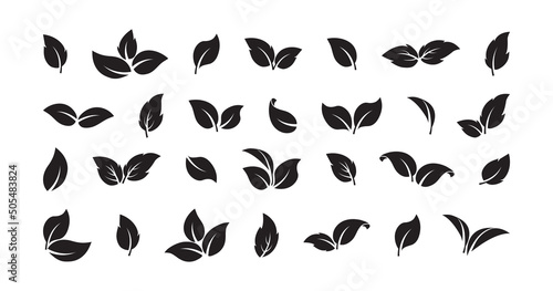 Leaf tree vector icon, sprout plant set, organic foliage, bio sign different shape. Simple black label isolated on white background. Nature illustration