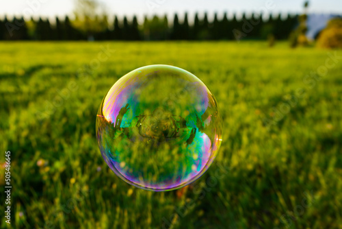 soap bubbles in the grass